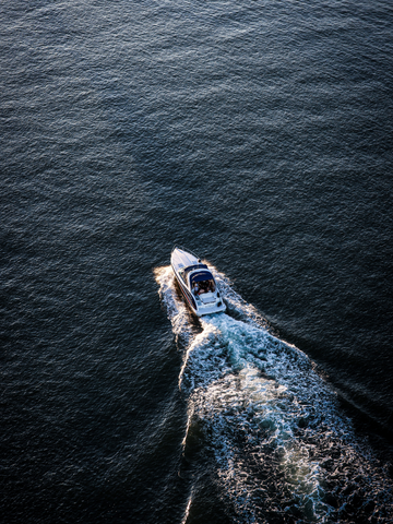 Boat Tour